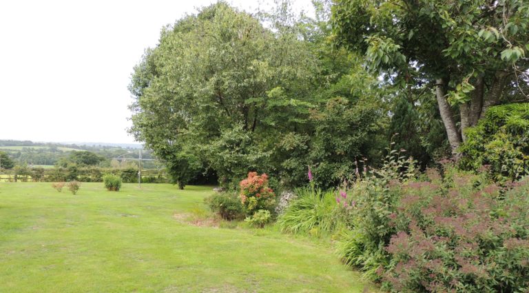 photos of YGL 017 768x425