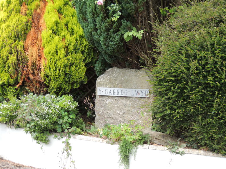 photos of YGL 021 768x576