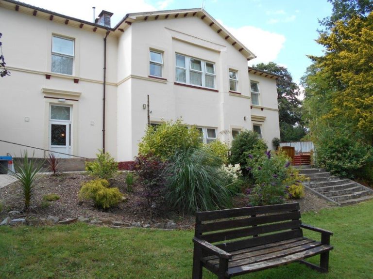 7782656 orig 768x576