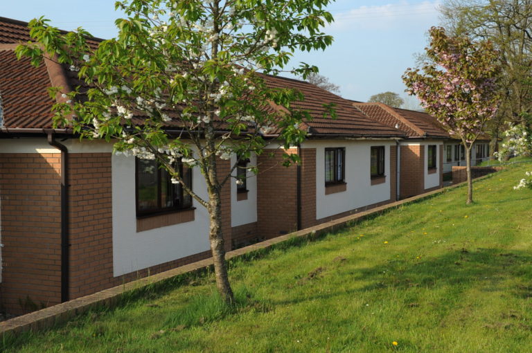 rsz cartref annwyl fan 186 768x510