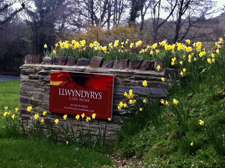 Entrance to Llwyndyrys  768x574
