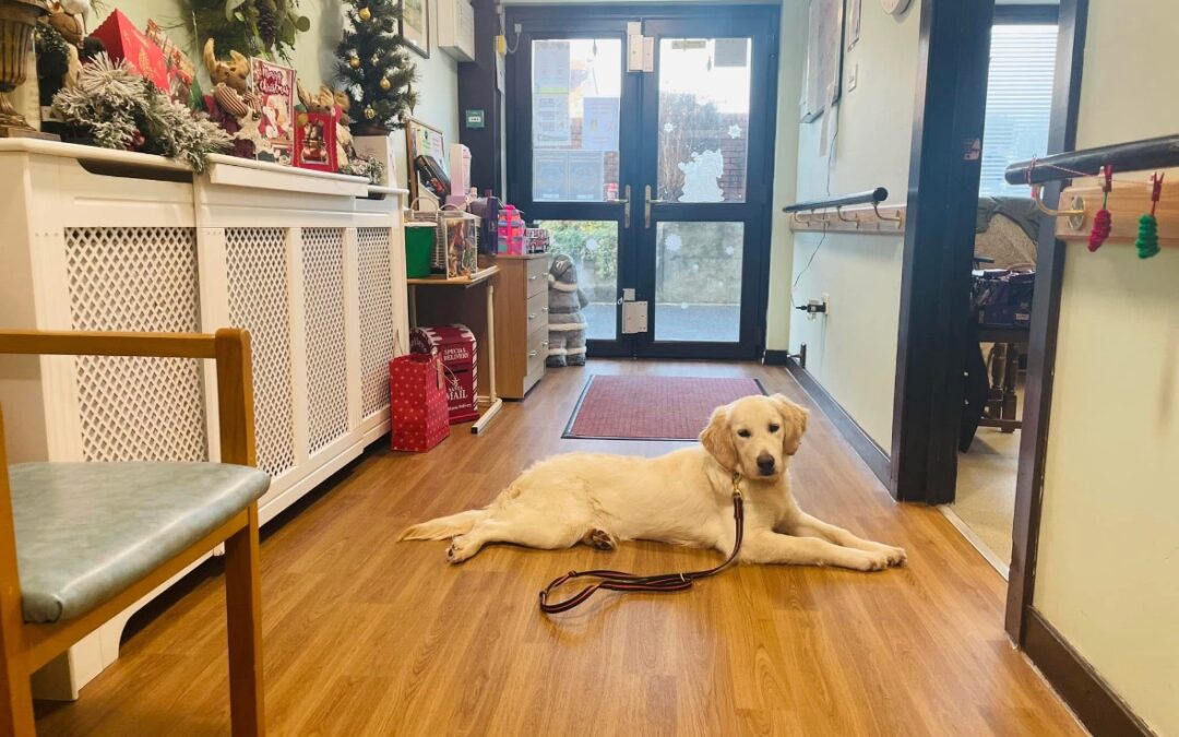 Melbourne House Care Home LTD